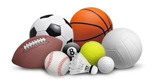 bsports必一体育 室内健身金仕堡